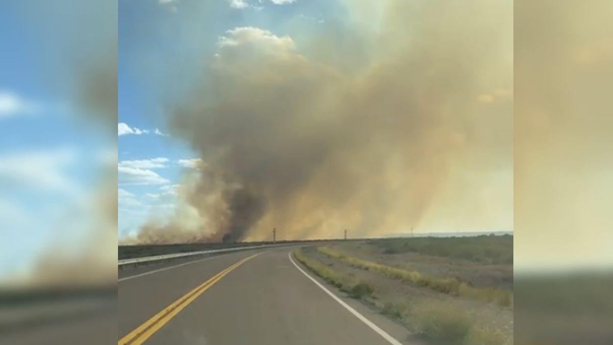 Las Grutas Incendio De Gran Magnitud Cerca De La Ruta 3