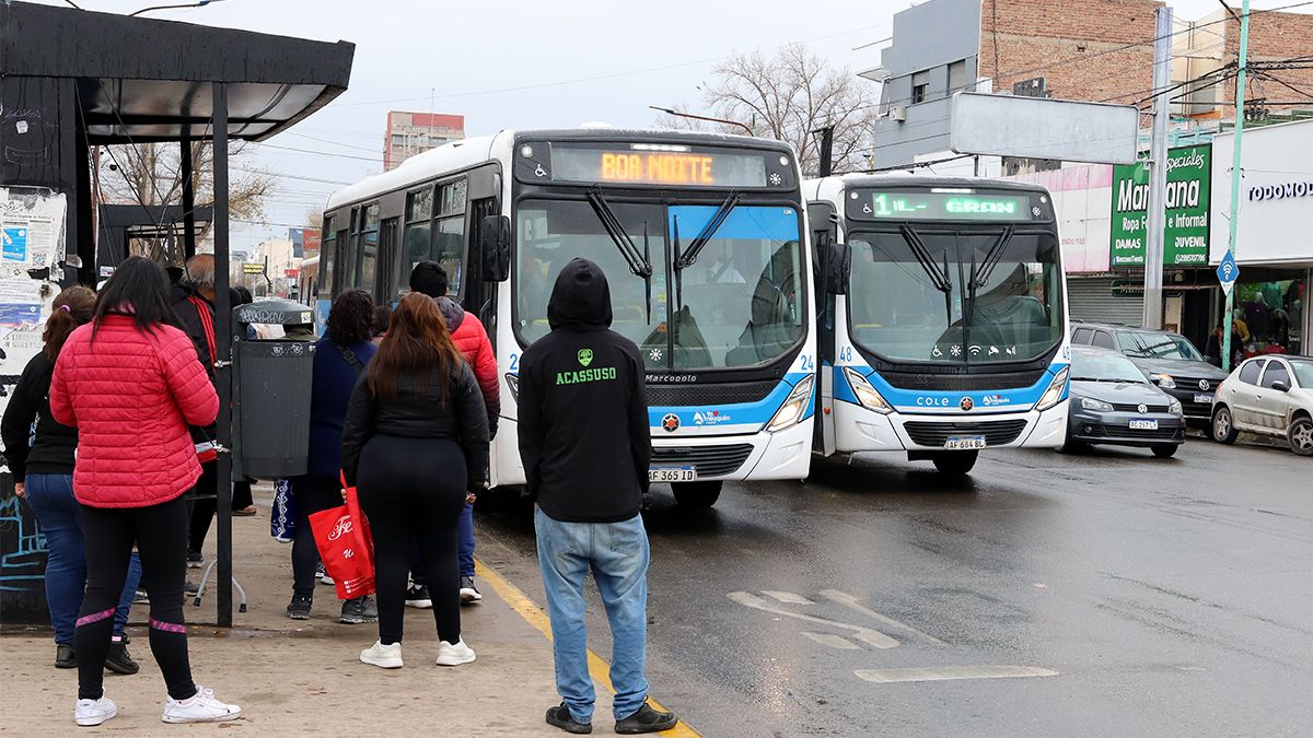 Sin Subsidio De Naci N El Cole Neuquino Est Entre Los Mejores Rankeados