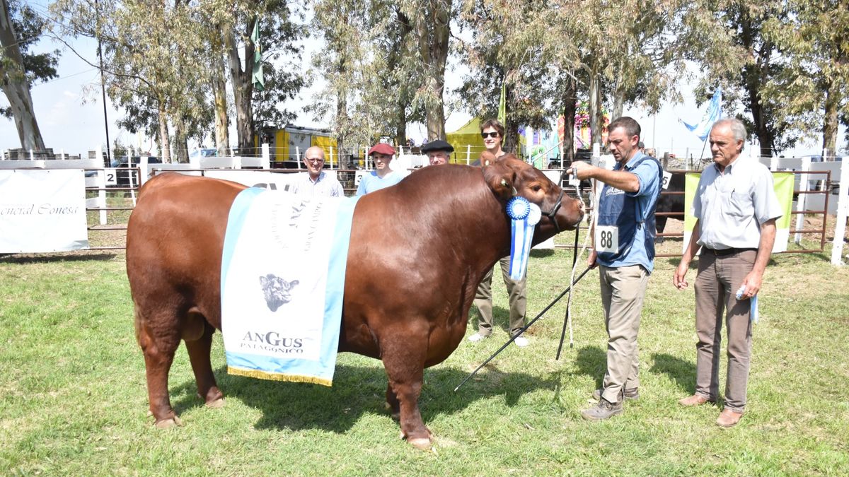 La Dirigencia Rural Elogi A La Vaca Viva En General Conesa