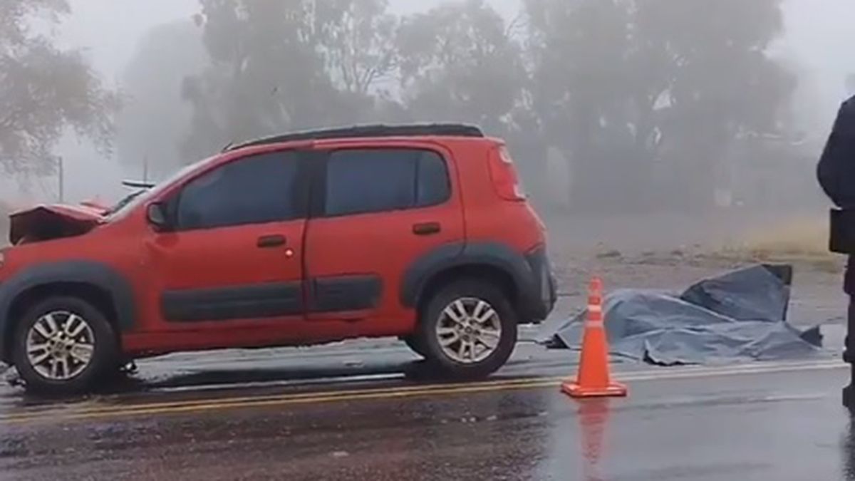 Automovilista Muri Tras Impactar Brutalmente Contra El Acoplado De Un