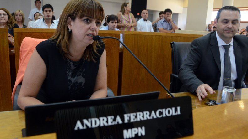 El MPN y el arco opositor tenían 10 votos para designar un síndico. La renuncia de Plaza lo impedirá. Ferracioli criticó a su ahora ex colega de bancada.