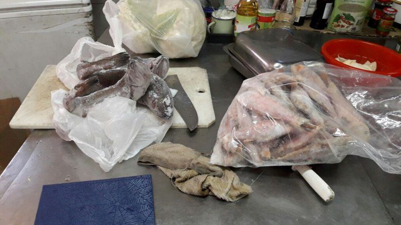 El local fue clausurado por no cumplir con las normas de bromatología.