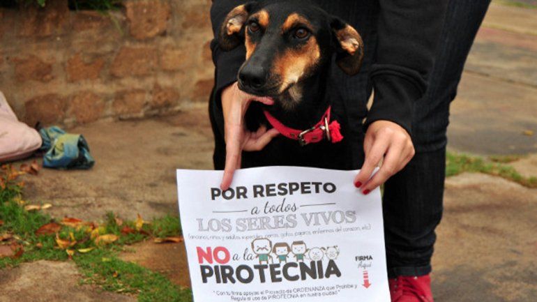 Las campañas de difusión empezarán este lunes y durarán 30 días.