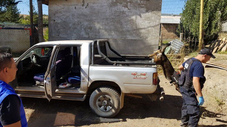 Encuentran muerto en un descampado al doble femicida de Neuquén