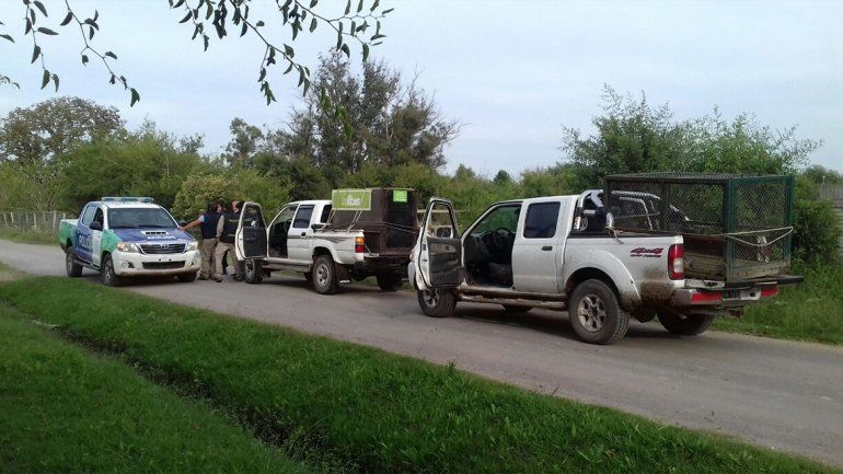 <p>Ayer se realizaron varios operativos para buscar al león suelto.</p>