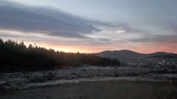 OVNI---LAS-OVEJAS.gif