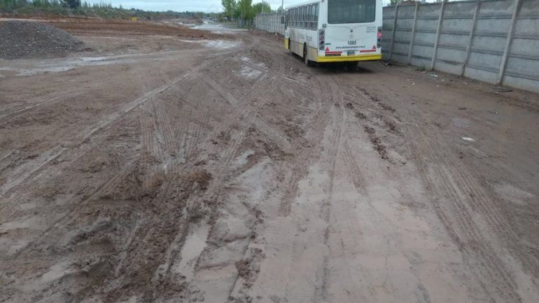 <p>Novella y Necochea. Cabecera de cuatro líneas de colectivo.</p>