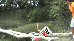 La caída de YouTube desató una ola de memes