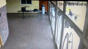 robo una moto de la puerta del cpe y quedo escrachado en las camaras robo una moto de la puerta del cpe y quedo escrachado en las camaras