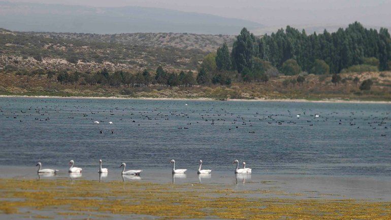 Laguna La Solitaria