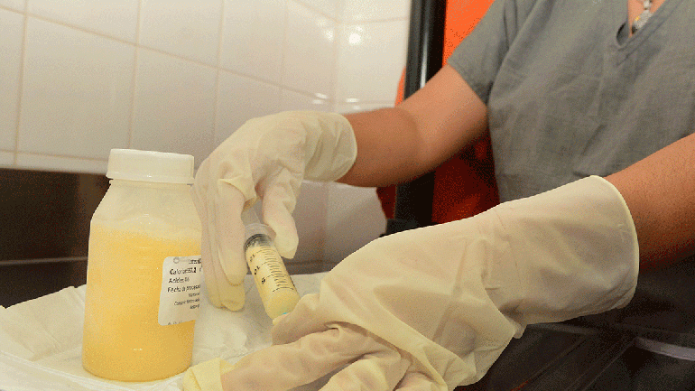 Leche humana: se pasteurizaron 1300 litros en tres años