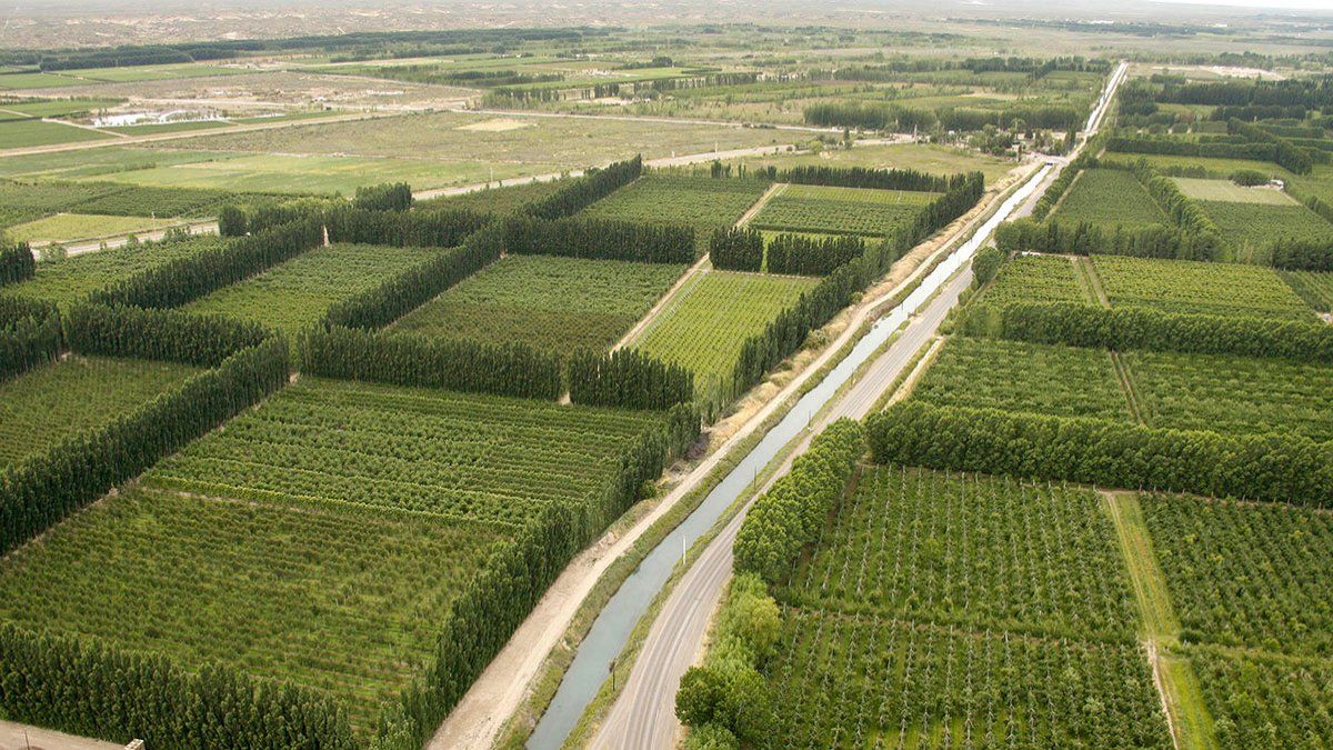 Chañar: polémica compra millonaria de una chacra | Denuncia, San Patricio del Chañar, Vaca Muerta, Justicia - Lmneuquen.com
