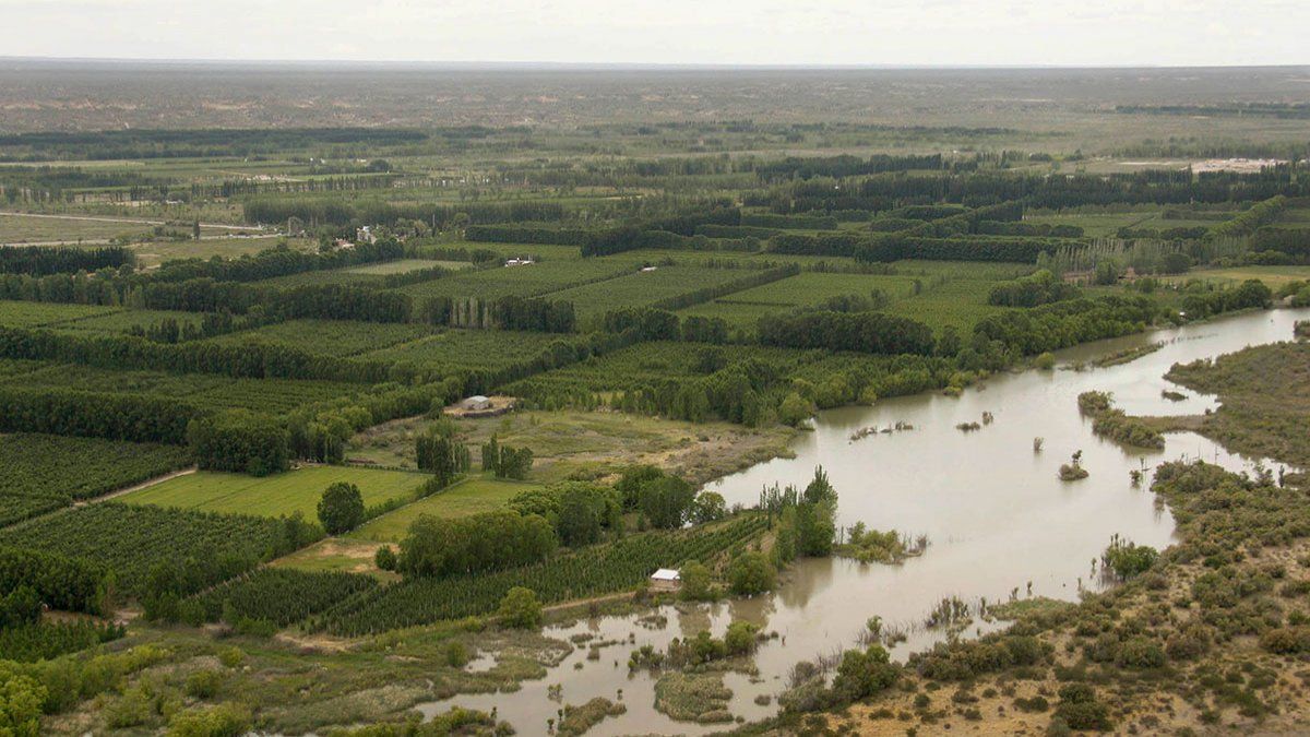 Un "falso abogado" firmó la compra de chacra millonaria - Lmneuquen.com
