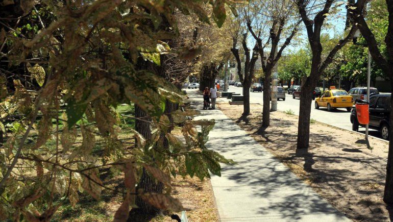 La Plaza Ministro González, un lugar donde nacieron miles de historias de amor.
