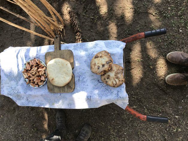 Tortilla al rescoldo y piñones. Productos típicos de la cocina mapuche
