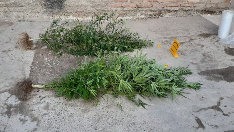 En los allanamientos se secuestraron armas, drogas y un auto robado.