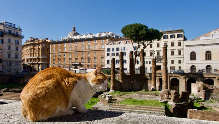 Las calles de Roma están vacías por la pandemia.