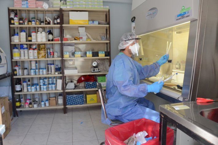 En Neuquén se hacen entre 20 y 30 test de coronavirus todos los días.