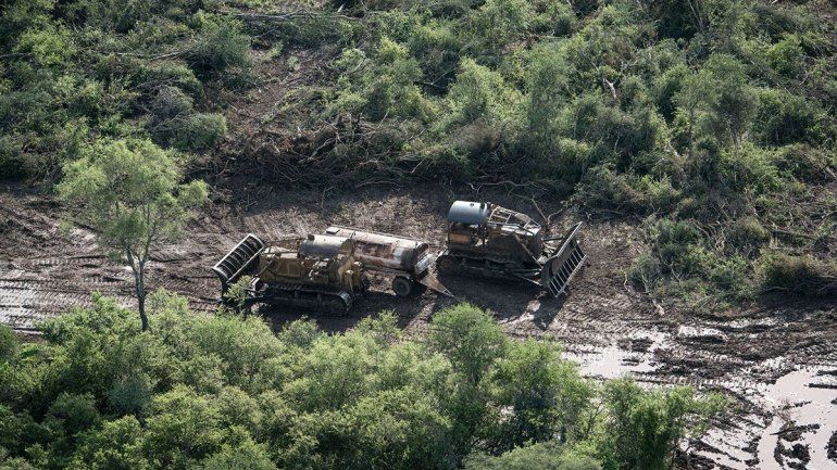 Desmonte de humedales en el norte argentino en plena pandemia