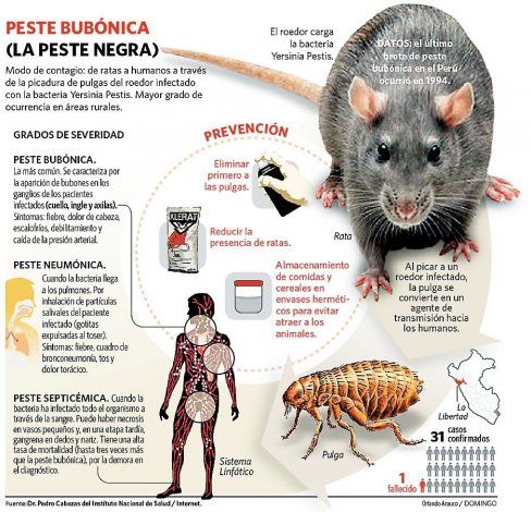 síntomas de la peste septicémica