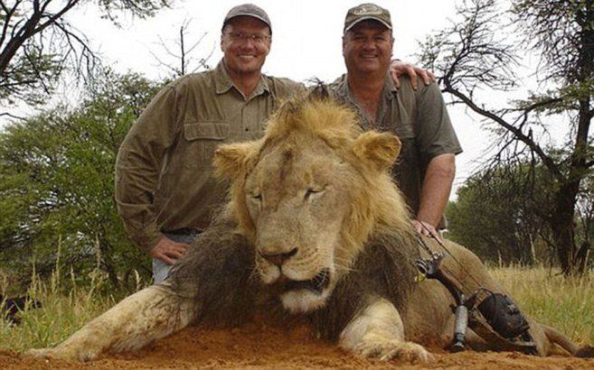 Walter james Palmer en 2015 posando con el león Cecil