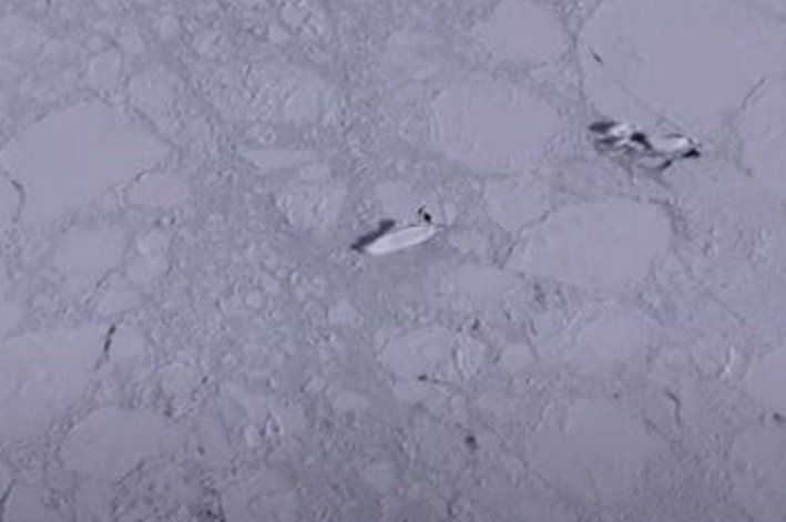 En las imágenes parece observarse un barco de hielo.