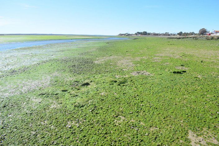 El fenómeno se produce en los meses invernales.