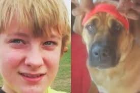 El chico, de 13 años, y su mascota murieron víctimas del fuego en un acto heroico.