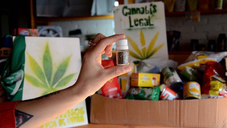 Alto Valle: semillas de marihuana por comida para un comedor