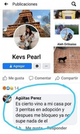 La denuncia contra la pareja se hizo por redes sociales.