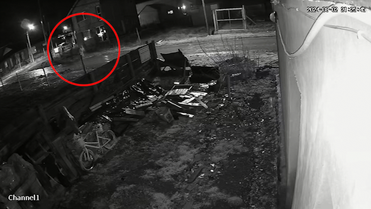 Todo inició cuando la Policía lo descubrió robando en una vivienda y el ladrón huyó para esconderse en la casa de su madre.