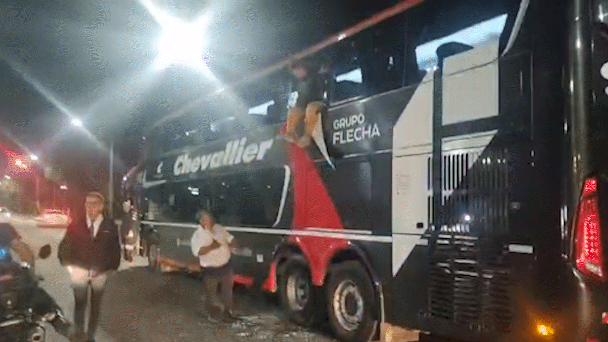 Una mujer se quiso tirar por la ventana de un colectivo de larga distancia en movimiento