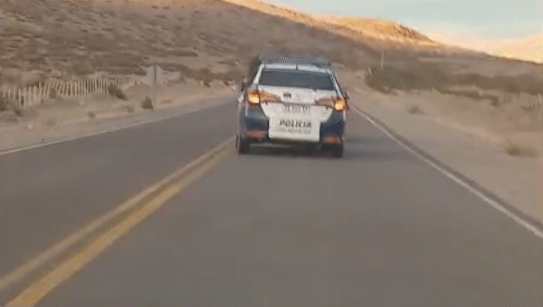 video: el toretto de taquimilan y una increible persecucion policial por las rutas del norte neuquino