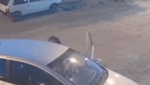 Video: violento ataque de una mujer a otra que llevaba a su hija al colegio