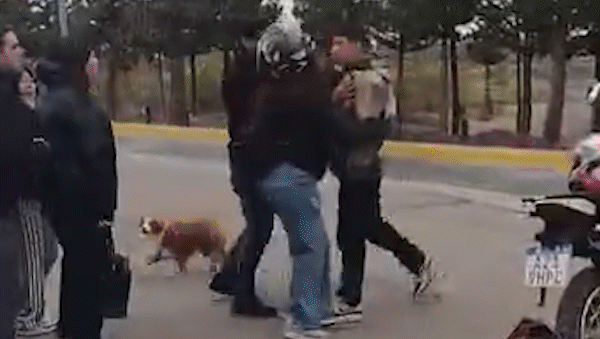 Indignación en Rincón de Emilio: motos en zona prohibida y una discusión que quedó filmada