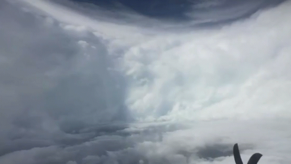 alerta por el huracan mas poderoso de la historia: vientos de 280 km/h y varios muertos en jamaica alerta por el huracan mas poderoso de la historia: vientos de 280 km/h y varios muertos en jamaica