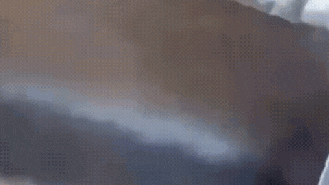 aterrador video: intento matar a su primo con una retroexcavadora y, como no pudo, le disparo aterrador video: intento matar a su primo con una retroexcavadora y, como no pudo, le disparo