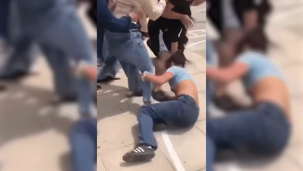 otro caso de violencia escolar: se desato una batalla campal de madres y alumnos en el patio del colegio otro caso de violencia escolar: se desato una batalla campal de madres y alumnos en el patio del colegio