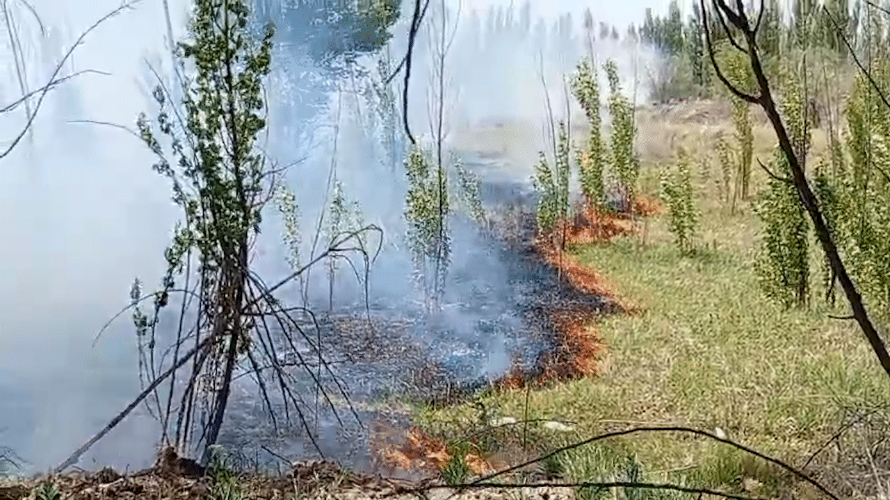 Dramática lucha contra un incendio de pastizales, cerca de una estación de servicio | LM Neuquen Dramática lucha contra un incendio de pastizales, cerca de una estación de servicio