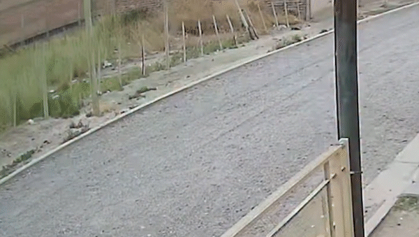 a alta velocidad, un movil de la policia atropello a una nina en plottier: esta grave a alta velocidad, un movil de la policia atropello a una nina en plottier: esta grave