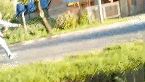 Quedó filmado: persecución y disparos en una plaza de San Martín de los Andes | LM Neuquen Quedó filmado: persecución y disparos en una plaza de San Martín de los Andes