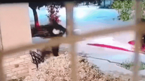 video: banda de encapuchados protagonizo violento robo comando video: banda de encapuchados protagonizo violento robo comando