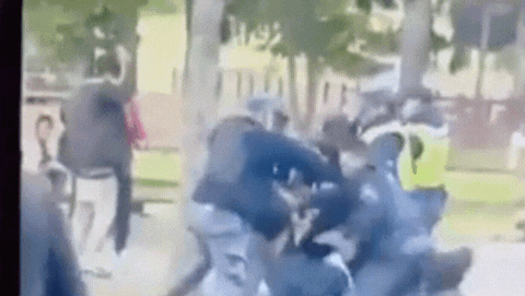 denuncian abuso policial tras la pelea entre mujeres que termino en batalla campal en villa la angostura denuncian abuso policial tras la pelea entre mujeres que termino en batalla campal en villa la angostura