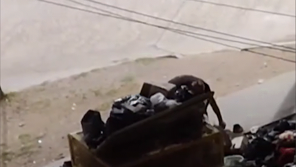 bronca y escraches a vecinos mugrientos en las calles de neuquen: no hay excusa bronca y escraches a vecinos mugrientos en las calles de neuquen: no hay excusa