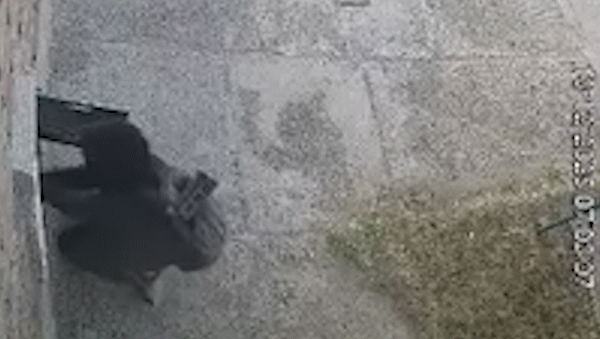 En un video, se ve como en apenas segundos, un sujeto dejó sin gas a un domicilio. | LM Neuquen En un video, se ve como en apenas segundos, un sujeto dejó sin gas a un domicilio.