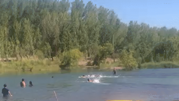 rescate a contrarreloj en el balneario sandra canale: cinco guardavidas lograron salvar a un abuelo y su nieta rescate a contrarreloj en el balneario sandra canale: cinco guardavidas lograron salvar a un abuelo y su nieta