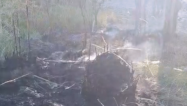 Más de 30 kayakistas lograron apagar el fuego y evitar un posible escenario trágico.&nbsp;