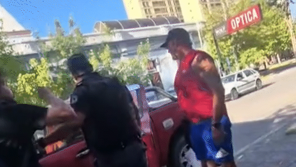escandalo: dejo a su perra encerrada en el auto a pleno sol y lo escracharon