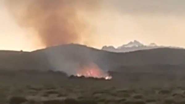 impresionante: en plena tormenta, la caida de un rayo desato un incendio forestal impresionante: en plena tormenta, la caida de un rayo desato un incendio forestal
