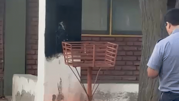 El incidente ocurrió esta tarde alrededor de las 20.40 en la Escuela Primera 313. El incidente ocurrió esta tarde alrededor de las 20.40 en la Escuela Primera 313.